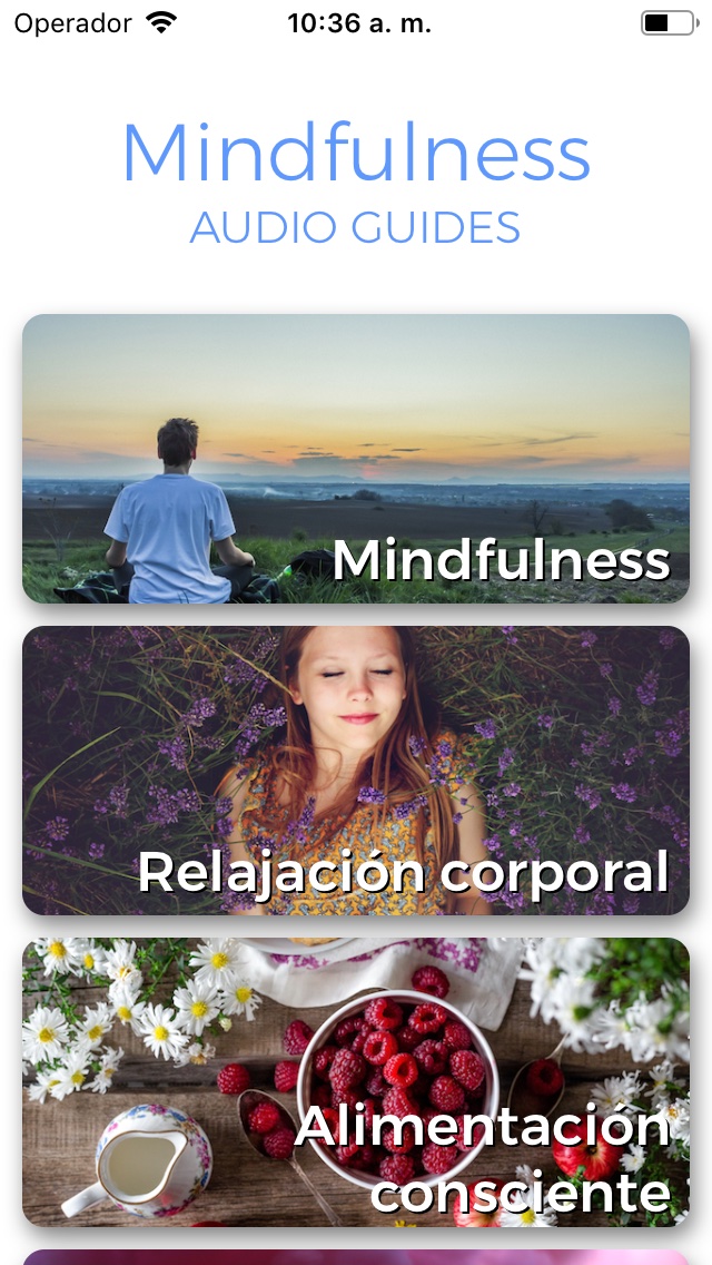 Mindfulness y Meditacion en español